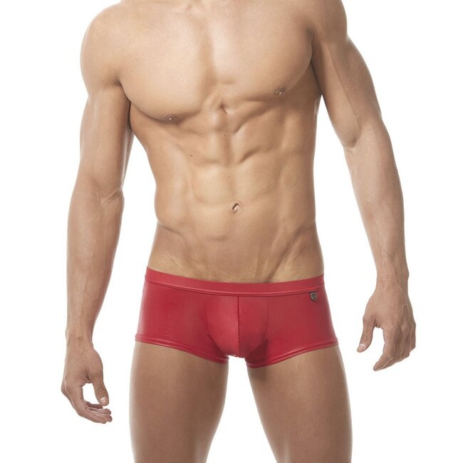 Gregg Homme Square cut brief
