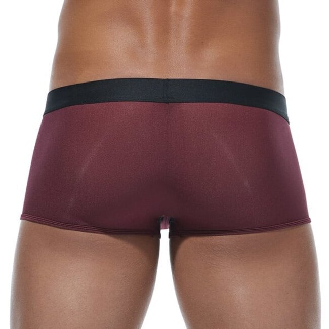 Gregg Homme Torridz trunk