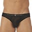 Gregg Homme Gregg Homme Torridz brief