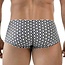 clever cuadricula latin boxershort