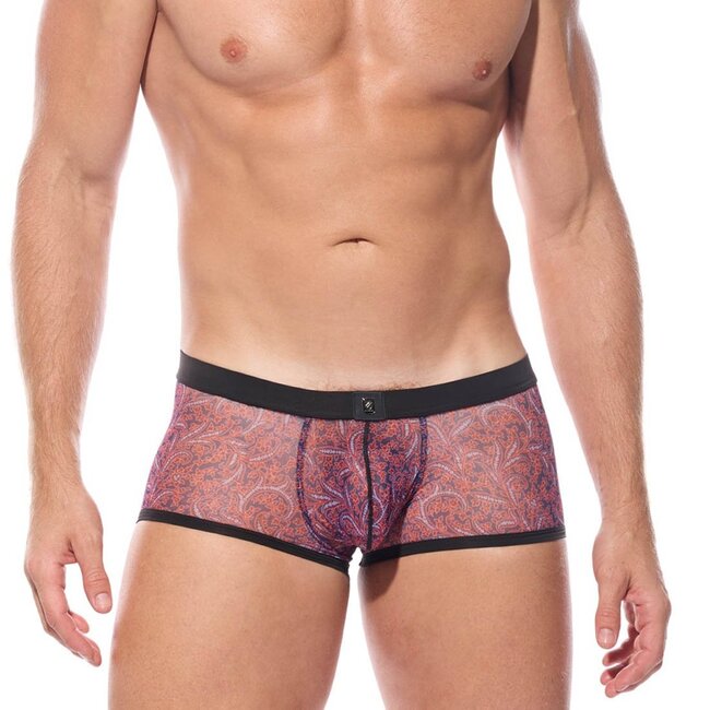 Gregg Homme Outline boxershort