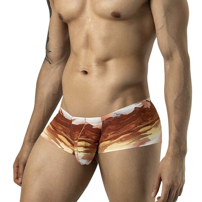 Clever desert latin boxershort