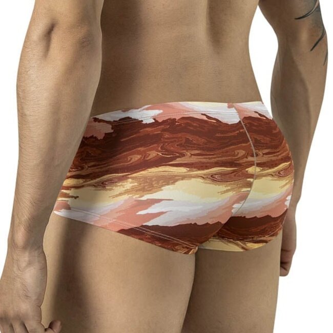 Clever desert latin boxershort