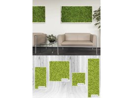 GreenOffice Khloé Mos-schilderijen akoestisch Khloé Mos-schilderijen akoestisch