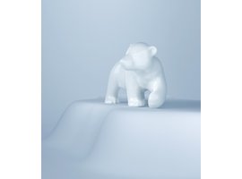 Axis 71 Baby bear Baby bear
