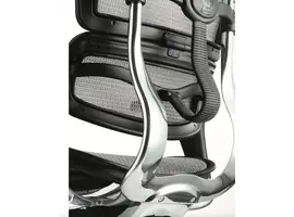 Ergohuman Chaise de bureau avec appui-tête
