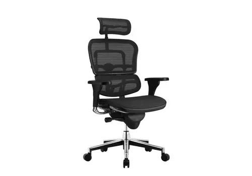 Ergohuman bureaustoel met hoofdsteun