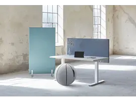 Basketball ergonomische zitbal