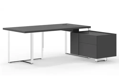 Plana bureau de direction avec extension