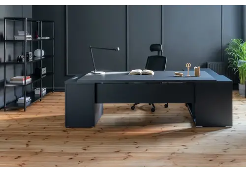 Mito fenix zwart directiebureau