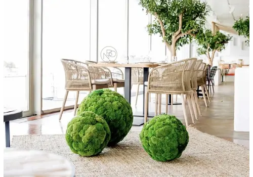 Sphere akoestisch/decoratieve mosbol