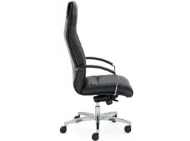 Director fauteuil de bureau cuir noir