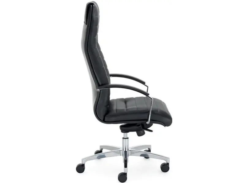 Director fauteuil de bureau cuir noir