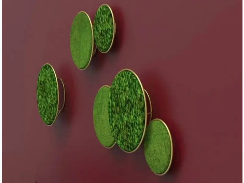 Moss-Acoustics Circles Unit