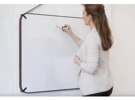 Chameleon portable whiteboard