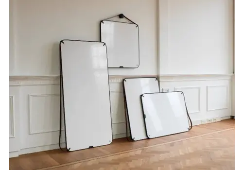 Chameleon portable whiteboard