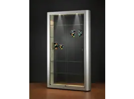 Vitrine Basic en verre Tech