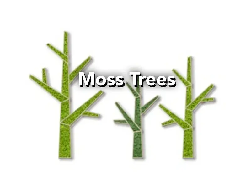 Moss trees acoustiques