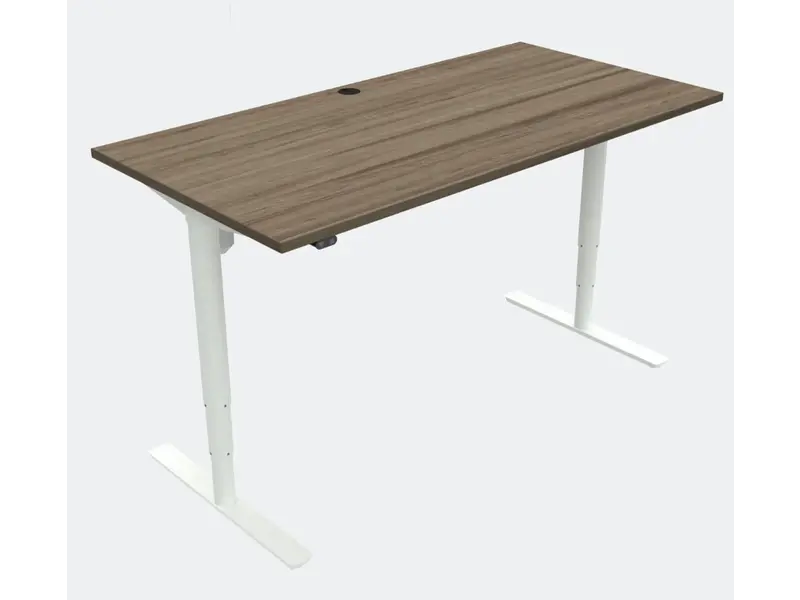 Tables assis/debout 501-49