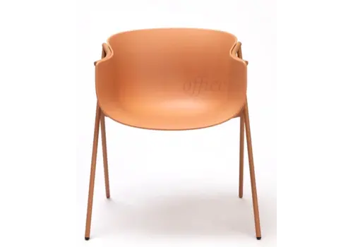 Bai chaise