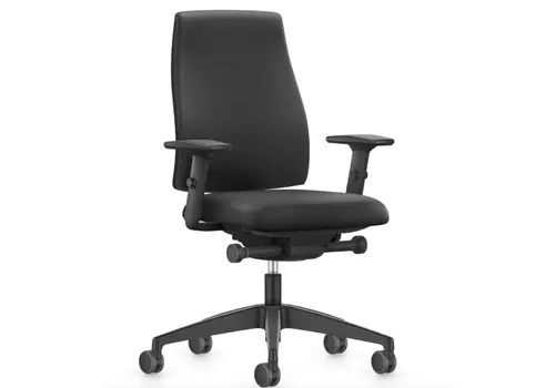 Ergo Anne chaise de bureau avec accoudoirs