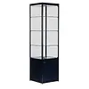 Functionals Vitrine Pictor avec spot L50 reposant sur une armoire verrouillable