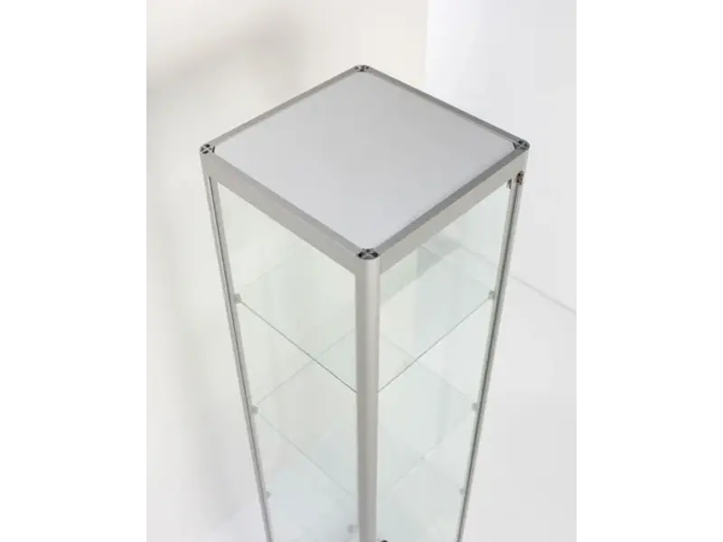 Vitrine Pictor avec spot L60