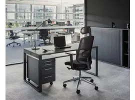 Yan Z  bureau ergonomisch