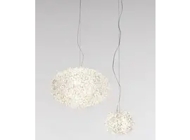 Bloom suspension