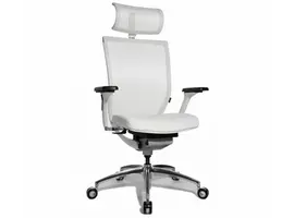 Titan 10 fauteuil de direction Net