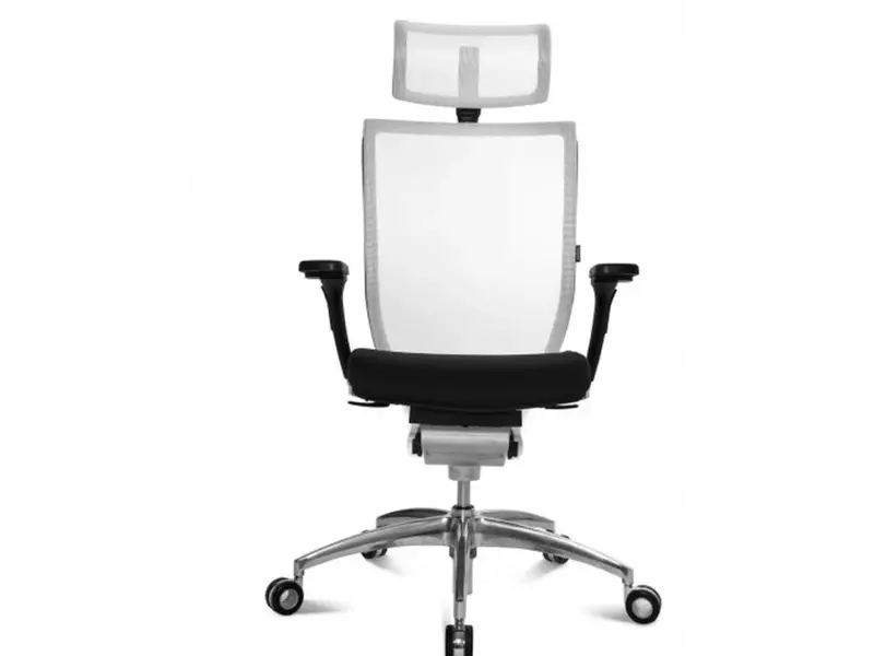 Titan 10 fauteuil de direction Net