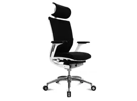 Titan 20 bureaustoel met armleuning en hoofdsteun