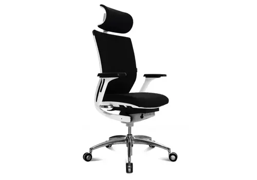 Titan 20 fauteuil de direction