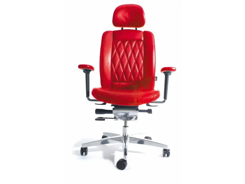 Alumedic Limited S fauteuil de direction en cuir