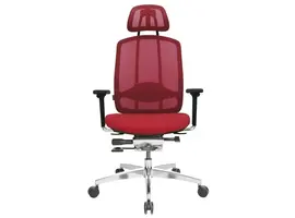 AluMedic 10 fauteuil de bureau avec appui-tête