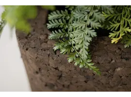 Terra Planter uit kurk
