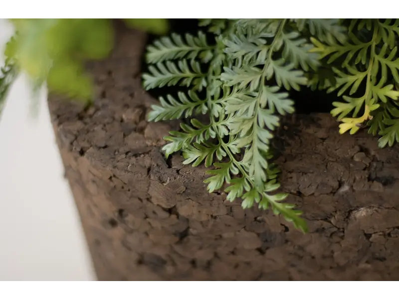 Terra Planter uit kurk