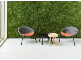 Fauteuil Collodi recyclé