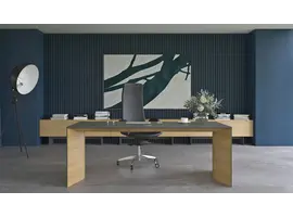 Move & Lead elektrisch directiebureau