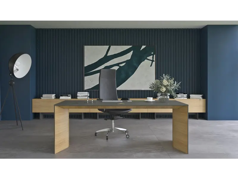 Move & Lead elektrisch directiebureau