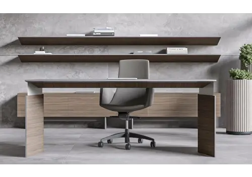 Move & Lead elektrisch directiebureau