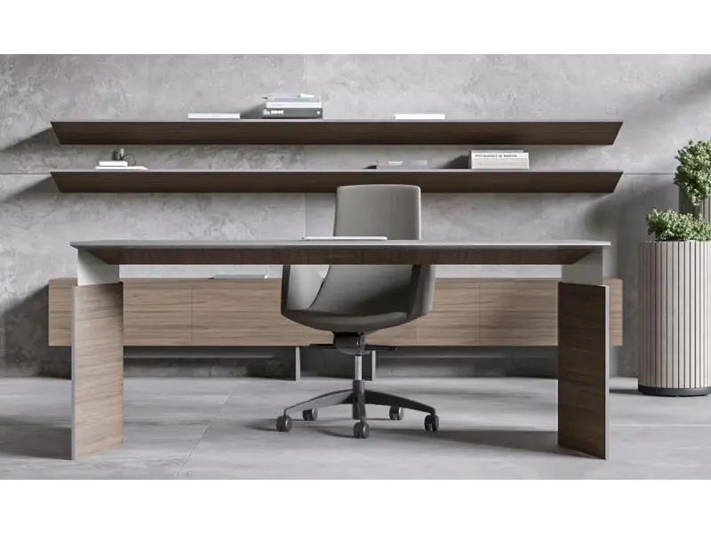 Move & Lead elektrisch directiebureau