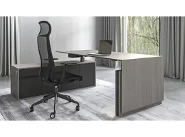 Motion Executive bureau électrique avec extension
