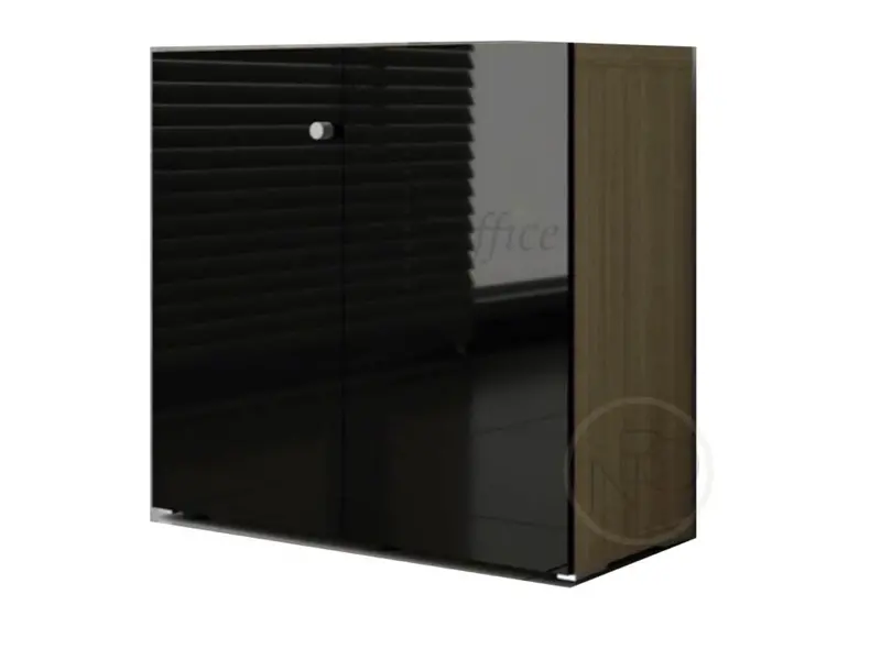 Mito Classeur avec portes brillants