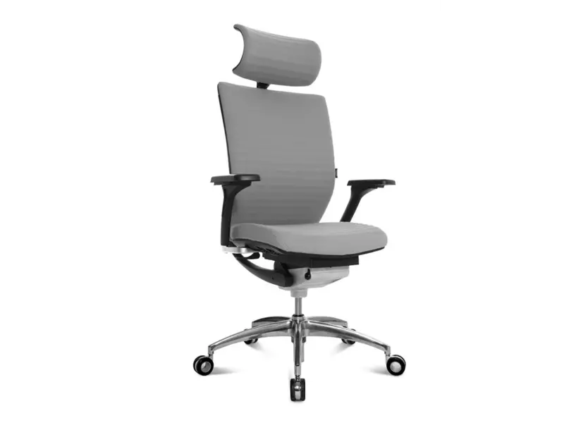 Titan 20 fauteuil de direction avec accoudoirs et appuie-tête