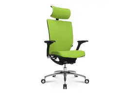 Titan 20 fauteuil de direction avec accoudoirs et appuie-tête