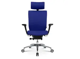 Titan 20 fauteuil de direction avec accoudoirs et appuie-tête