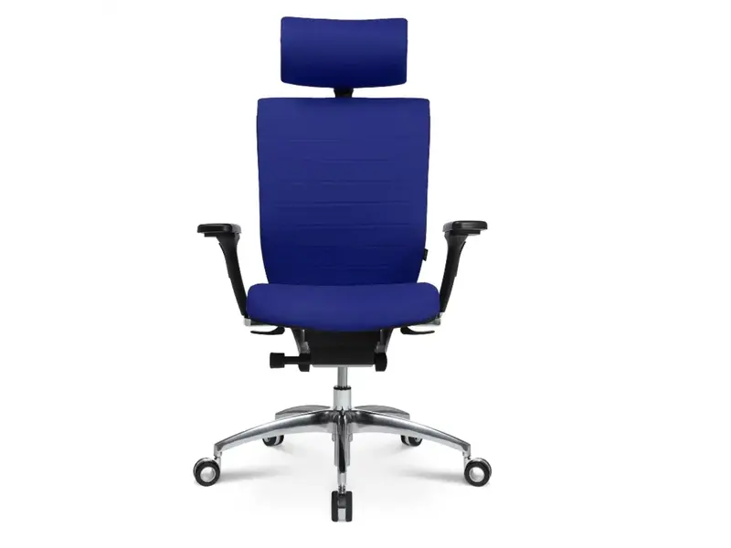 Titan 20 fauteuil de direction avec accoudoirs et appuie-tête