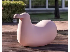 Dodo animal