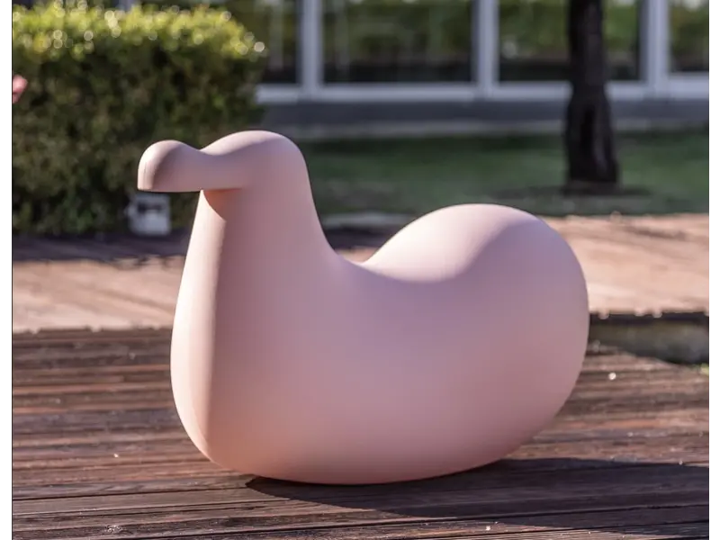Dodo animal